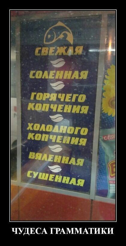 ЧУДЕСА ГРАММАТИКИ