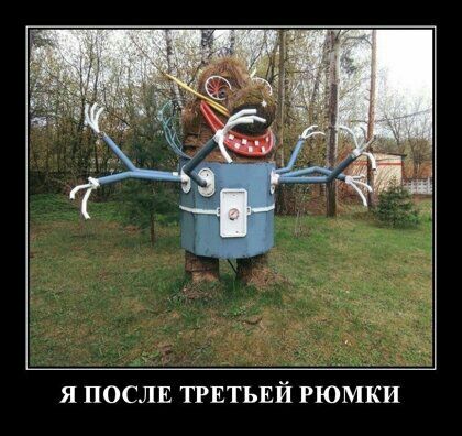 Я ПОСЛЕ ТРЕТЬЕЙ РЮМКИ