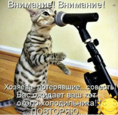Ьншш ша Вгшнлагпиг