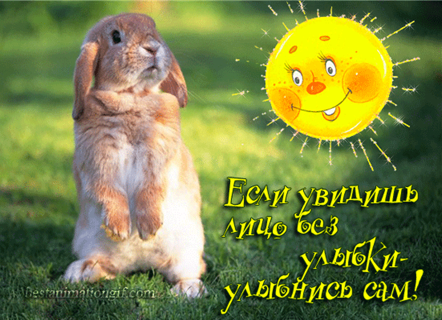 мы и