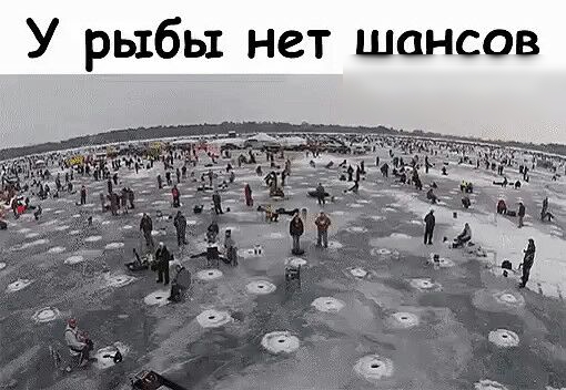 У рыбы нет шансов