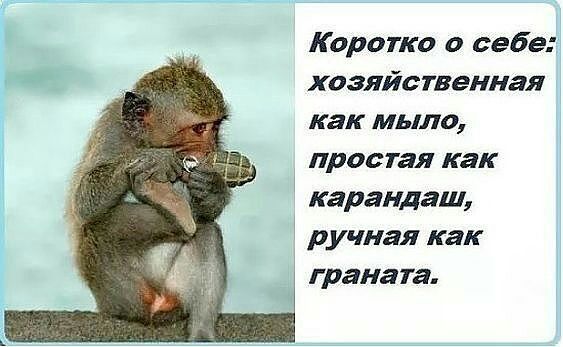 Коротко о себе хозяйственная как мыло простая как карандаш ручная как гранат