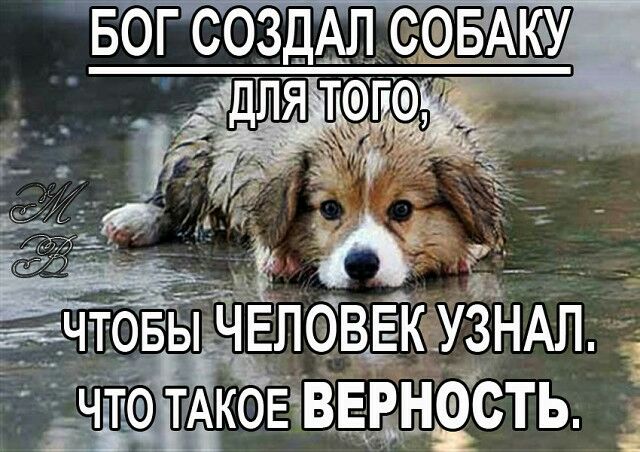 ЁчтовыЧЁЛЭВЕК УЗНАЛ д ЧТАК0ЕЧВЕРНФСТЬ