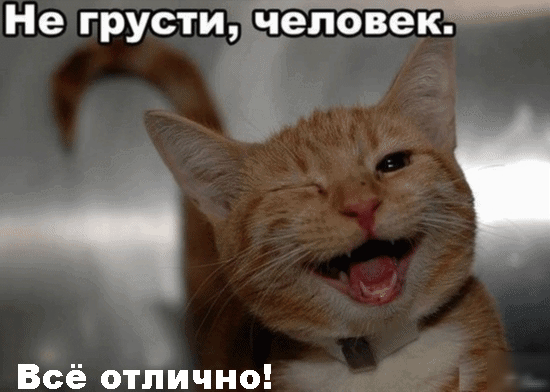 Не грустиічіедповекг Всё отлично