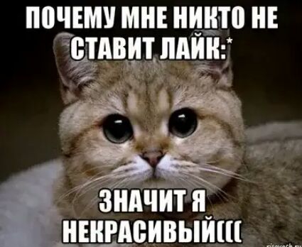ППЧЕМУ МНЕ НИШ НЕ ЁТАВИТ ЛАЙН щ лзнп1йтп_ нщцсивыиш