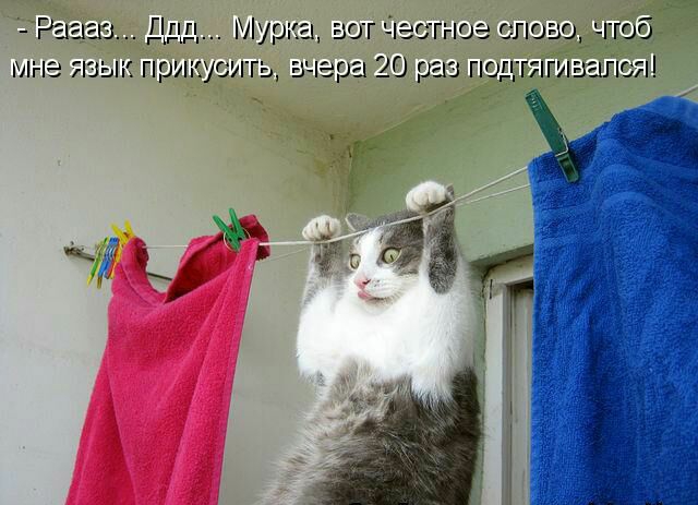 Мут ГГЧЭСГі Ю ггг поза лоб 0 гг МНЕ ЯЗЬ К ПРИРСИГЬ ЧЁРЕ 20 МЗ ГОГ7ГБ1Г7 Ь