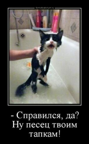 Справился да Ну песец твоим танкам