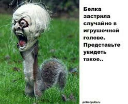 аэс тм случвйно игриво шой топом Придет ип увидеть икс