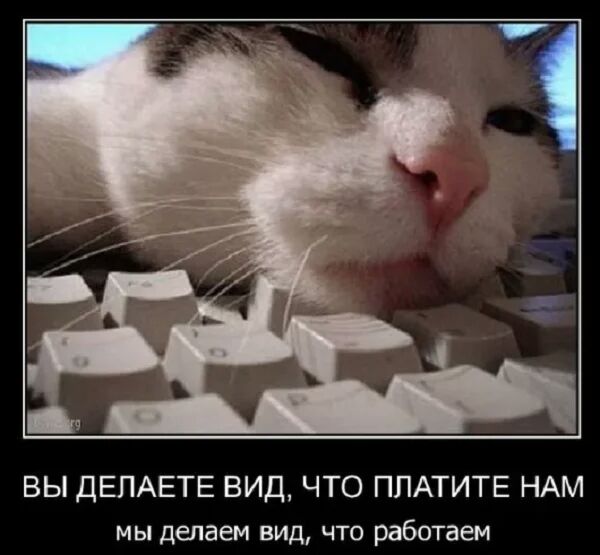 ВЫ ДЕПАЕТЕ ВИД ЧТО ПЛАТИТЕ НАМ мы делаем вид что работаем