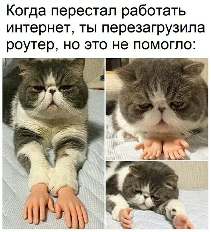 Когда перестап работать интернет ты перезагрузипа роутер но это не помогло т 1