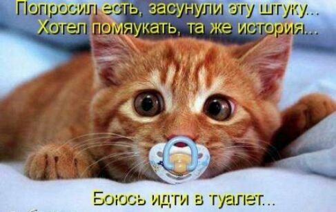 БОЮСЬ ИДТИ В ГУ21ПЭГ