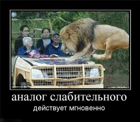 аналог слабительного действует МГНОВЕННО