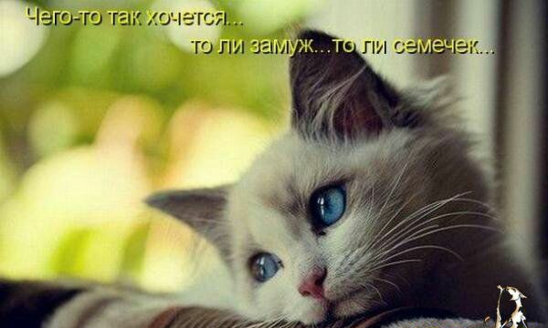 ЪГЦТО ТЕН С ГСН ТО ЛИ