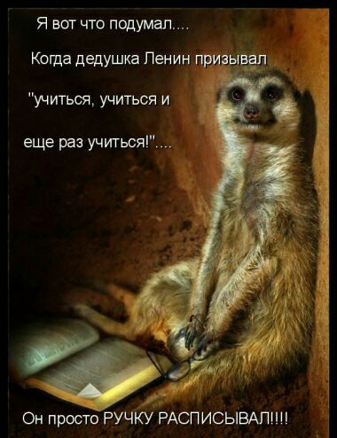 Я ватчто подумал Коша дедушка Ленин признал учиться учиться и еще раз учитьсяі Он просто РУЧКУ РАСПИСЫВАПС