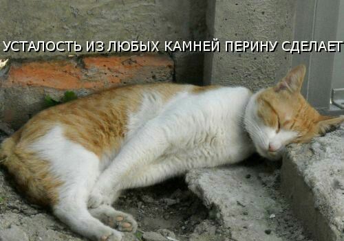 У