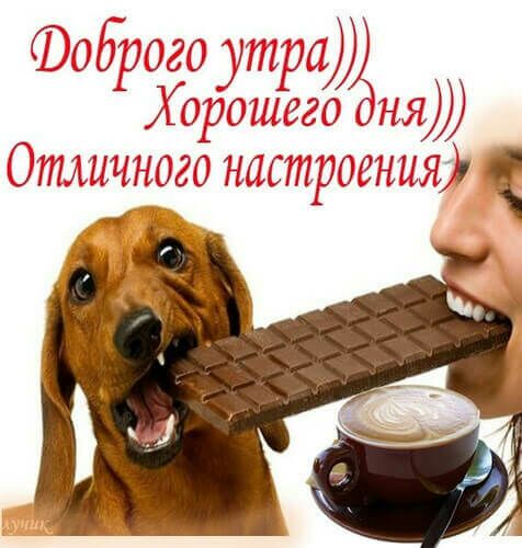 Г п 1 ім 1 им 01 то из Изн