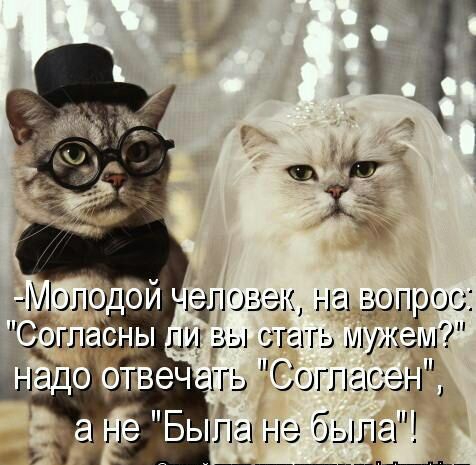 ЦПОЦЗЭЩг 11Ь0Г1003 вы ггг ь мумии 1_гь Гг огл ше Бьша не быгш