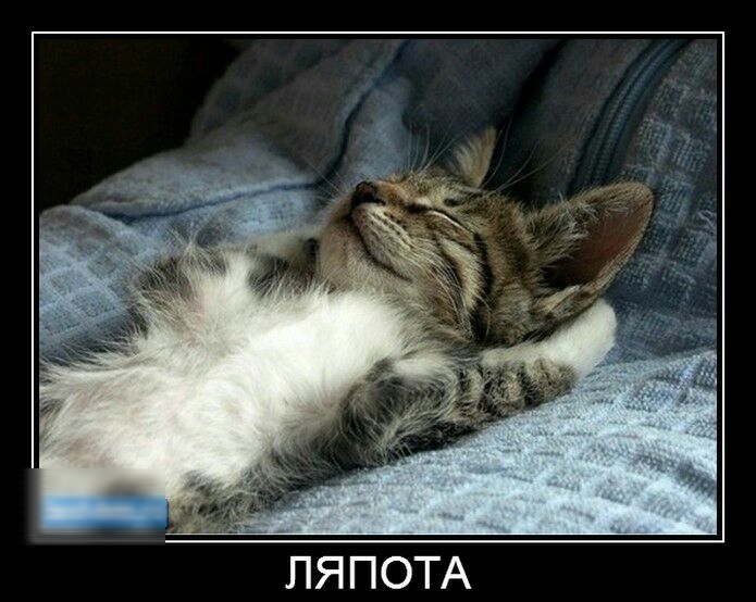 ПЯПОТА