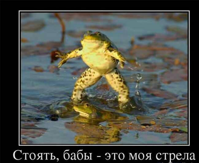 Стоять бабы это моя ст ела