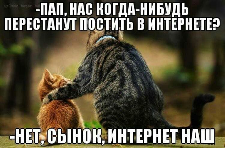 ШП ндс ППШ НИБУДЬ ПЕРЕЁТАНУТ ПЁТИЪГЬ В ИНТЕРНЕТЕ ёіэынтп гинштніыщв
