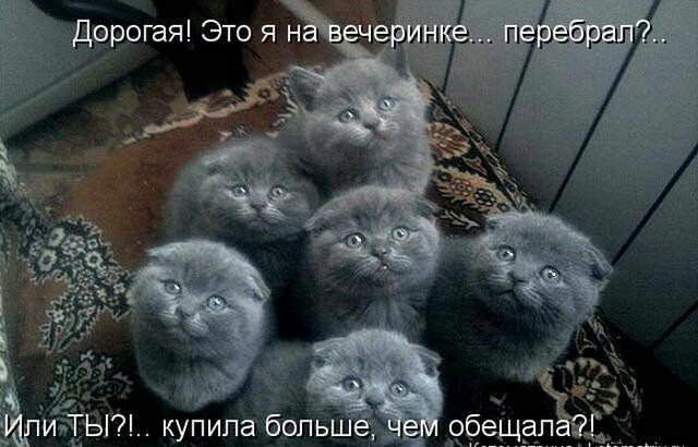 _ ф ИЁЬ1 купипагібопв