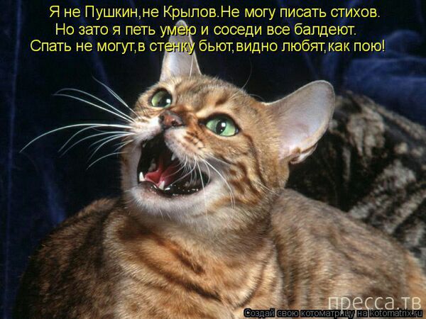 Я неЫПушкинме КрыповНе могу йуюать сгихов Но зато я петь ув и соседи всебапдедют Спать не могупв стаи бьюпвидно пюбчтігдак по