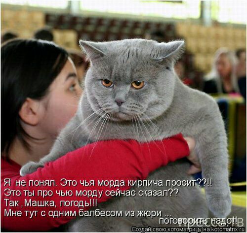 это ты про чью машу сейчас отвал Так Машка погодьш Мнет со ним бапбесомизжю и И д 79 ПО Ю