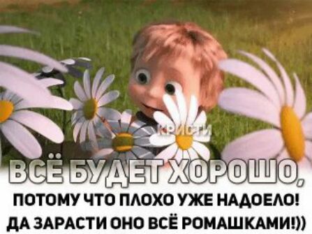 ПОТОМУ ЧТО ПАОХО УЖЕ НААОЕАО дА ЗАРАСТИ ОНО ВСЁ РОМАШКАМИШ
