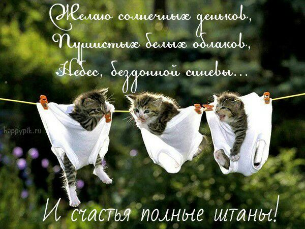 Идёшьж тцные штны