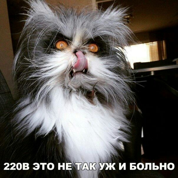 2203 это не и вольно