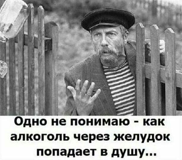 П опадает В душу КК ао кд ю аж МЗ ие НР ое ПЧ еь нм ОГ но дк Ол