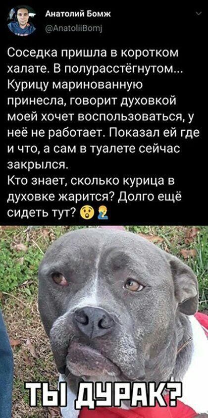 Анатолий Бомж ттпзюіттВотщ Соседка пришла в коротком халате В полурасстёгнутом Курицу маринованную принесла говорит духовкой моей хочет воспользоваться у неё не работает Показал ей где и что а сам в туалете сейчас закрылся Кто знает сколько курица в духовке жарится долго ещё сидеть тут 2