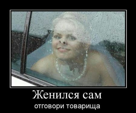 Женился сам отговори товарища
