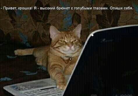 Пришр яп нищий ит Чаплином изя