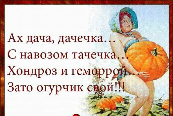 С навозом тачечка Хондроз и гемчёррё Зато огурчик _ 3 ВЖ