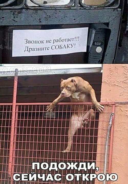 Зшпюк нс рпйшлш