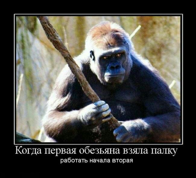 _ д 4 Когда первая обезьяна ВЗЯЛЗ палку работать начала вторая