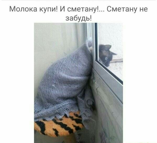Молока купи И сметану Сметану не забудь