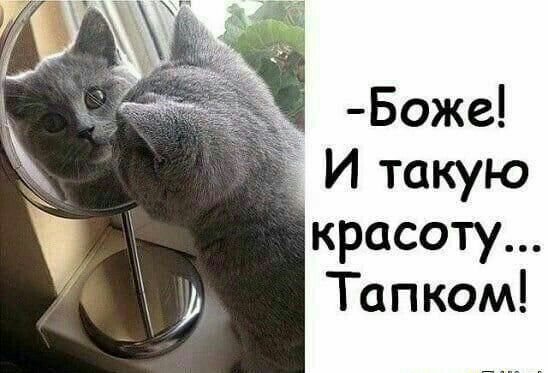 Боже И такую красоту Тапком
