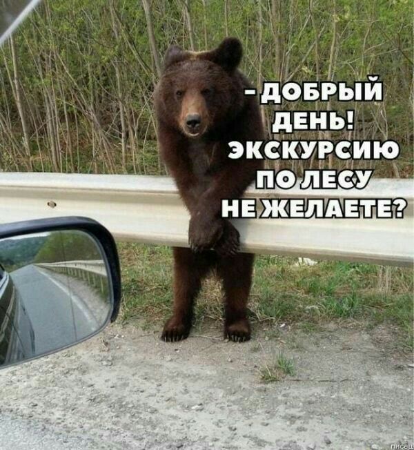 д5ьіи дЕНЪ ЭКСКУРСИЮ О Л