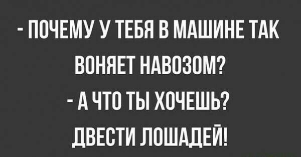 ПОЧЕМУ У ТЕБЯ В МАШИНЕ ТАК ВОННЕТ НАВОЗОМ А ЧТО ТЫ ХОЧЕШЬ дВЕОТИ ЛОШАДЕЙ
