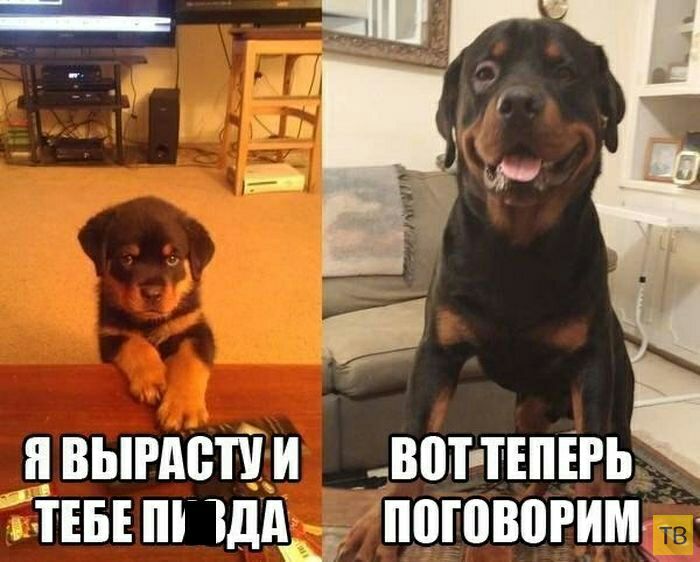 ВЫРМБШИ _ВШ ТЕПЕРЬ ТЕБЕ Тддд ППШВВРИМ