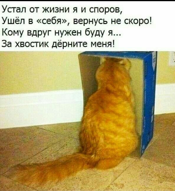 Усгал от жизни я и споров Ушёл в себя вернусь не скоро Кому вдруг нужен буду я За хвостик дёрните меня