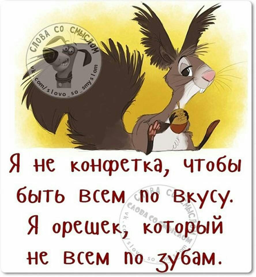 Я не коНфСТкЭ ЧТобЫ быть всем по Вкусу Я орешек коТорый не всем по зубам