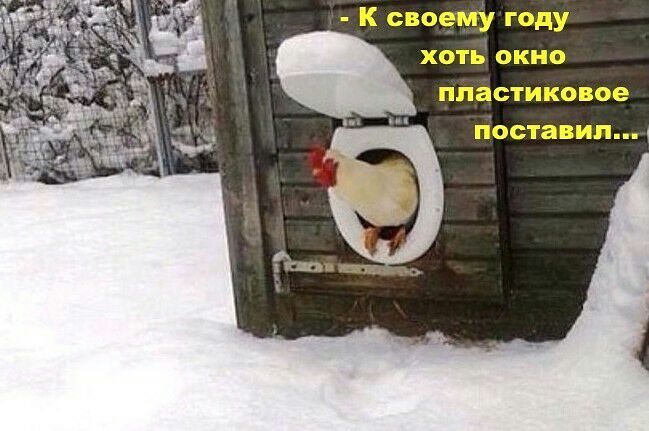 К своему году хоть окно пластиковое ПООТаВИП