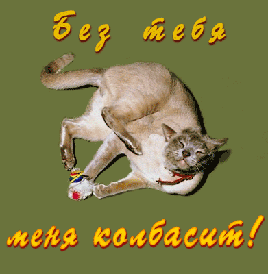 иеш амиши