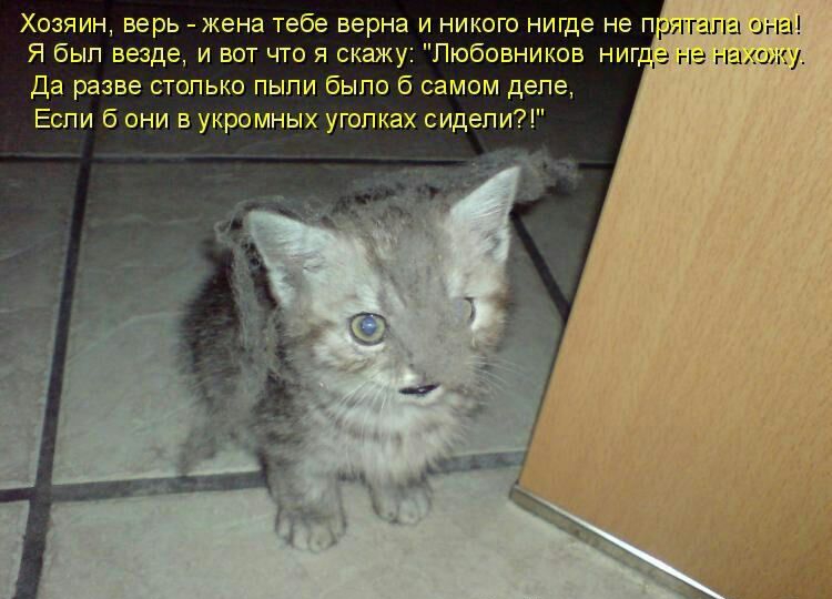 Хозяин верь жена тебе верна и никого нигде не прй гпагііГгг іі ЁРЁГКЭ Да разве столько пыпи было б самом деле Если 6 они в укромных уголках сидели