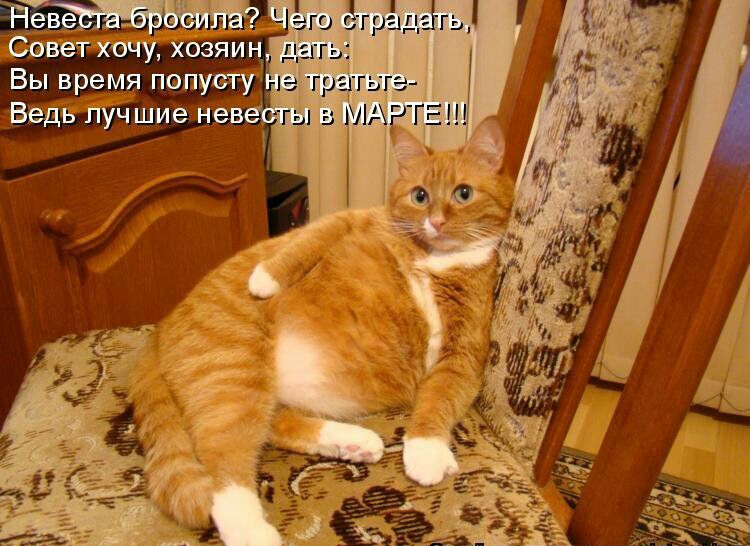 Вы время попусту Ведь лучшие н