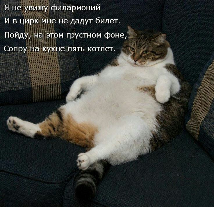 филармоний е не дадут билет ь
