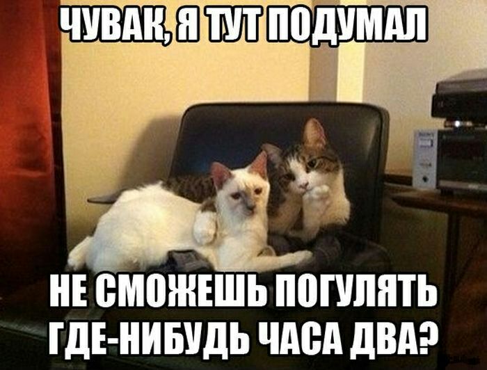 НЕ ВМВШЕШЬ ПППЛЯТЬ ГДЕ НИБУДЬ чдвд двдэ